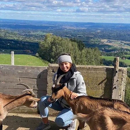 Seewaldhof - Urlaub Am Bio-wellnessbauernhof Alloggio per agriturismo *