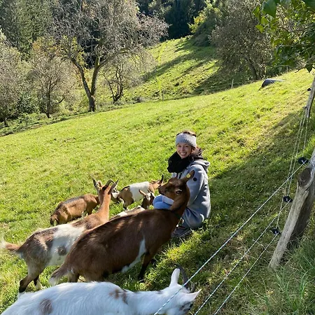 Alloggio per agriturismo Seewaldhof - Urlaub Am Bio-wellnessbauernhof *